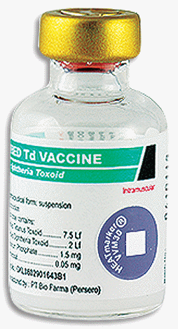 /thailand/image/info/adsorbed td vaccine bio farma vaccine (inj)/5 ml?id=64a8acc1-ffbc-4f28-8c15-abb201001a31